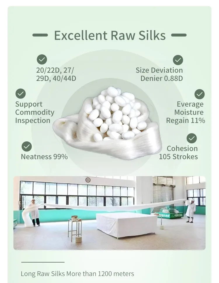 Chinese High Quality Mulberry Raw Cocoon Silk Yarn For Cloth Gots