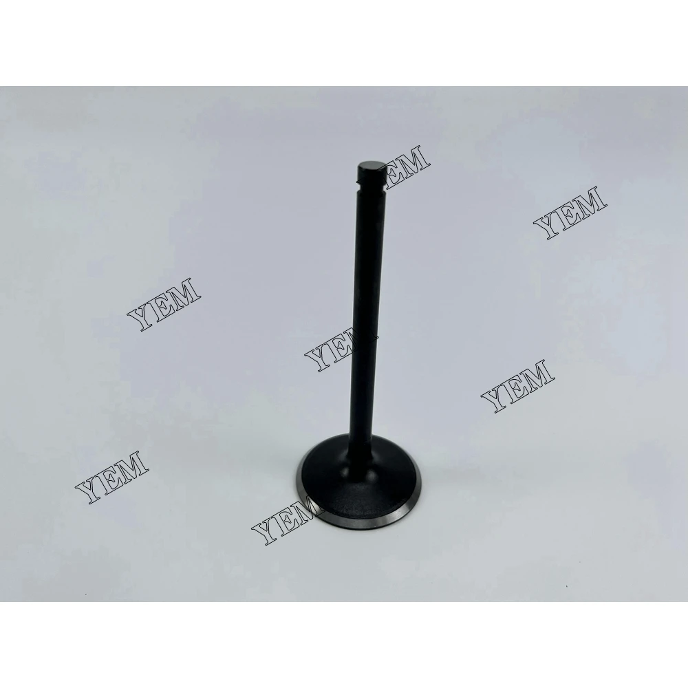 High Quality for Nissan TB42 Intake Valve Engine Spare Parts 3