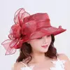Rosso prugna
