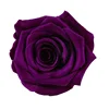 Deep purple