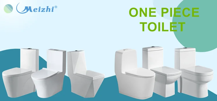 ONE PIECE TOILET.png