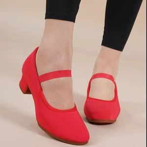 Classical Training Women's Dancing Shoes Soft Soles 3.5cm Heels Teachers' Shoes Ballet Elastic Dancing Shoes