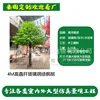 Árbol de arce verde de fibra de vidrio de 4 metros de altura con tronco recto (enlace de depósito)