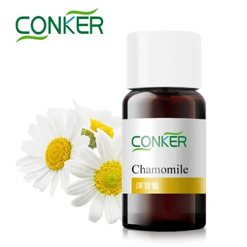 Floral Fragrance Oil Wholesale Flower Rose Peach Vanilla Coconut Peppermint Perfume Oil Fragrance Essential Oil Cosmetics Grade