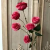 Rose red
