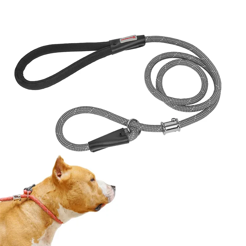 Customizable 2m Reflective Nylon Dog Chain for Medium Large Dogs