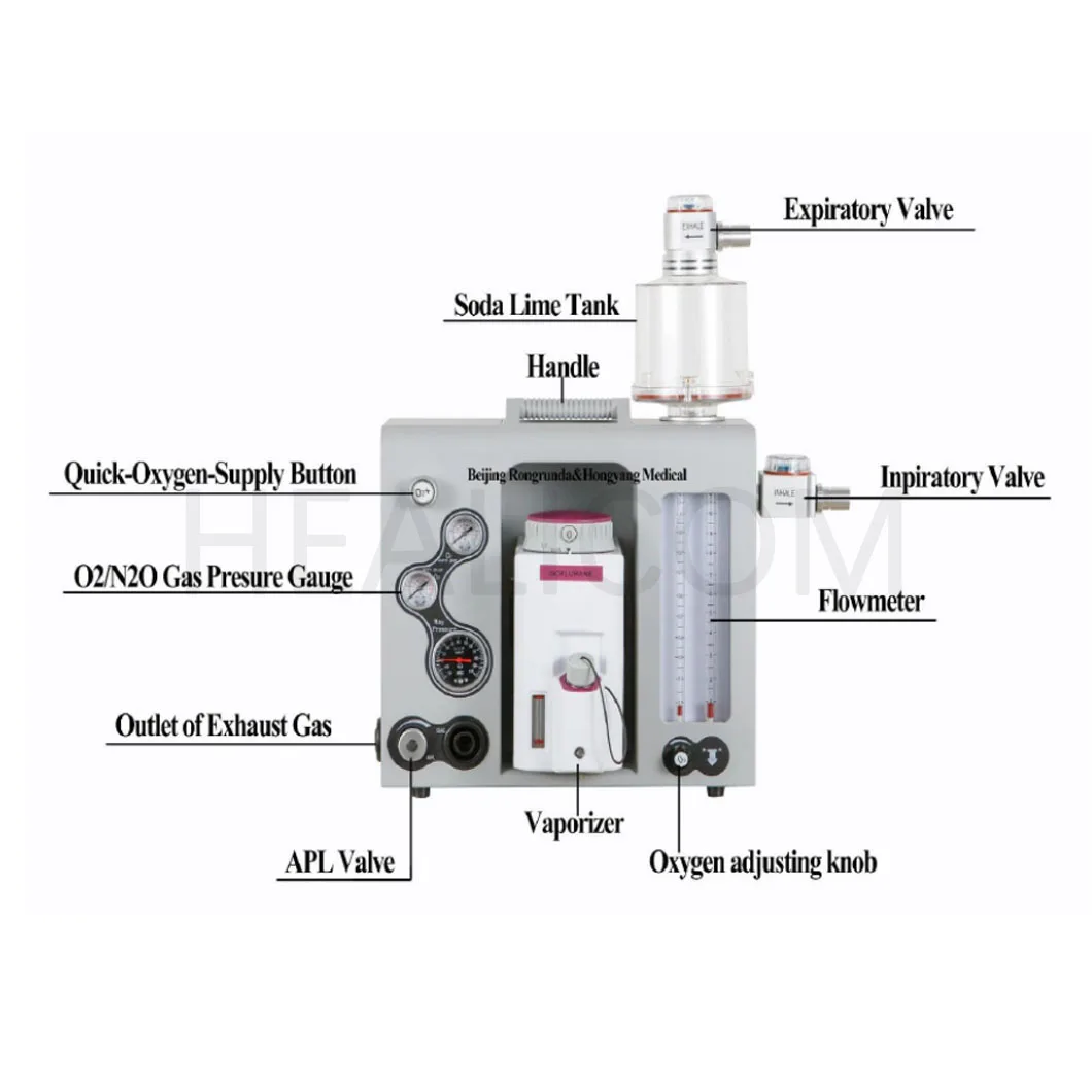 HEALICOM Medical Լավագույն Գին Օգտագործել Վետերինար և Անձրեւության Anestesia Mquinas Anestetic Machine