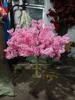 specification 14