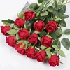 Snow Mountain Red (20 pieces)