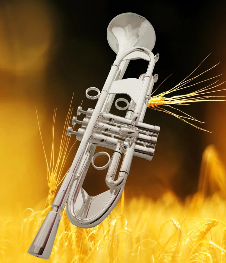 Trumpet Instrument,B Flat,For Beginners To Learn To Play Silver Plated
