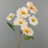 Pensée-Champagne-60cm