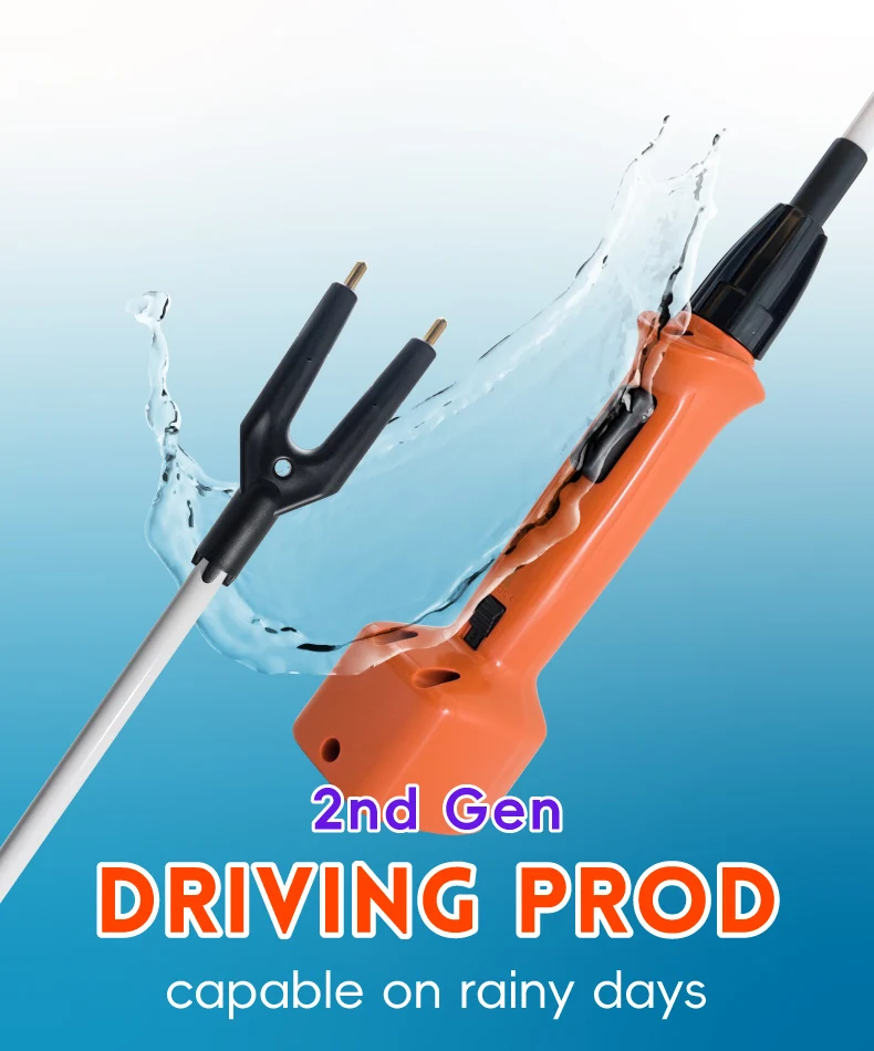 SYDENG_A