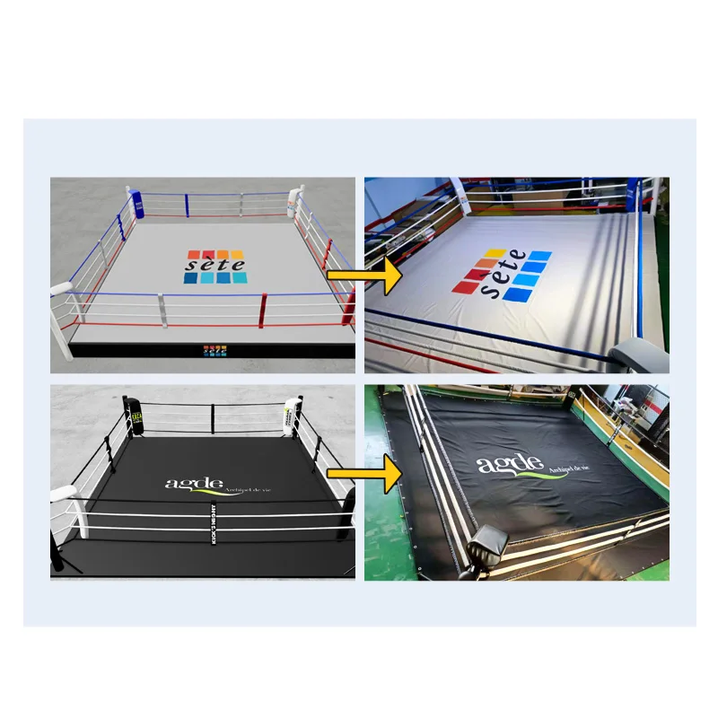 Alibaba.com: MMAONEMAX Inflatable Boxing Ring for Sale, Heavy-Duty ...