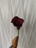 Calla Lily#2