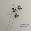 Tige de rose à trois branches - avec petites feuilles attachées
