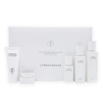 OEM Private Label Natural Anti Aging Anti Acne Whitening Lightening Cream Face Care 5PCS Skin Care Set