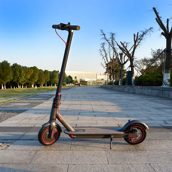New Trend 350W Hub Motor 10AH Foldable Adult Electric Scooter