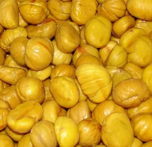 China High Quality Bulk Frozen Chestnuts IQF Peeled Chestnut for Sale