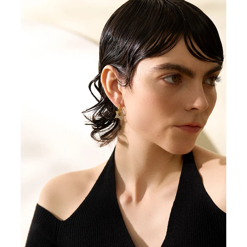 JINYOU 777 Fashion Star Drop Stainless Steel CZ Hoop Earrings JINYOU 777 Fashion Star Drop Stainless Steel CZ Hoop Earrings