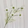 Black cumin - white