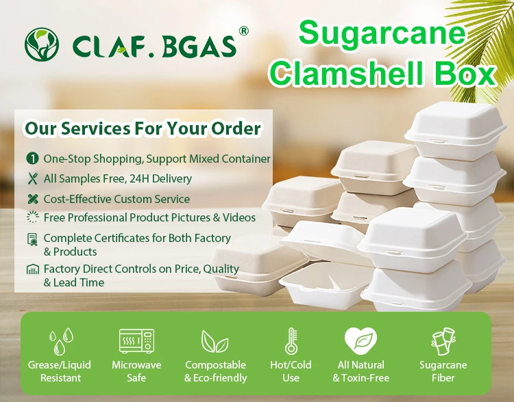 Eco-friendly Degradable Wholesale Compostable Take Away Sugarcane Bagasse Lunch Box Clamshell Container Camping Box with Lid
