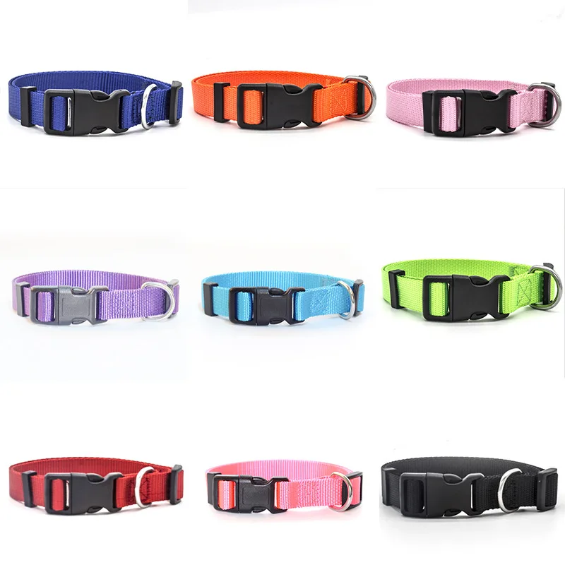 2021 Trending Products Wholesale Metal Buckle Pet Cat Dog Use Plain Nylon Dog Collar