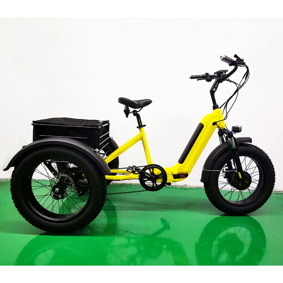 Anlochi 48v 500w 750w Hideen Battery 20 Inch Fat Tire Three Wheel Cargo