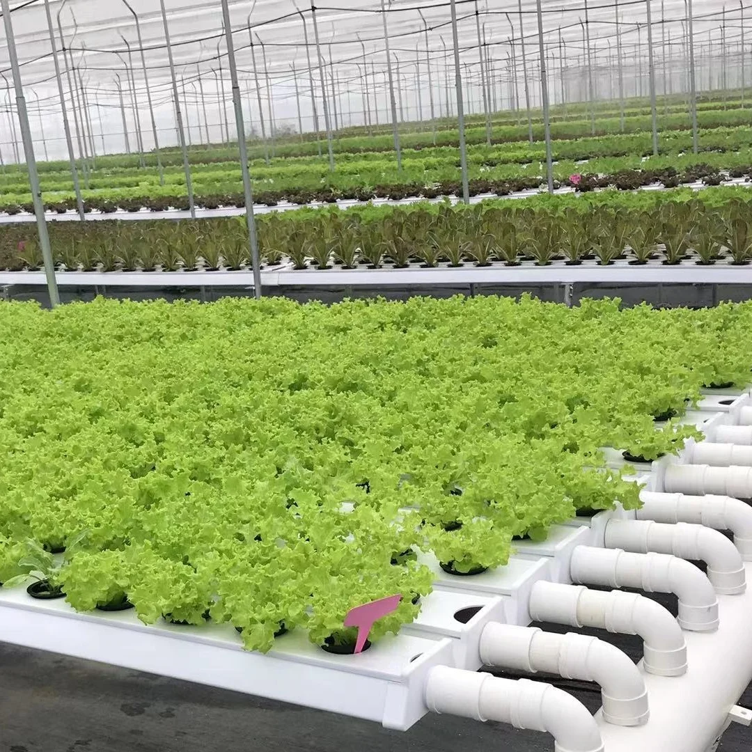 Hydroponic NFT Channel Growing System Water Circulation System Greenhouse Vertical Channel Growing Pipe Gutter NFT System