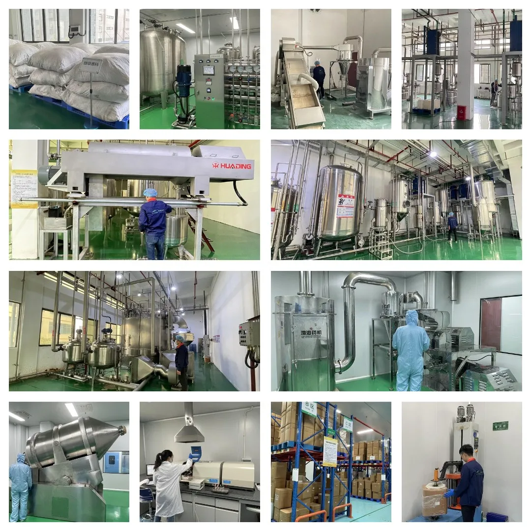 Yacon Root Extract, Yacon Root Extract Powder, Yacon Root P.E.