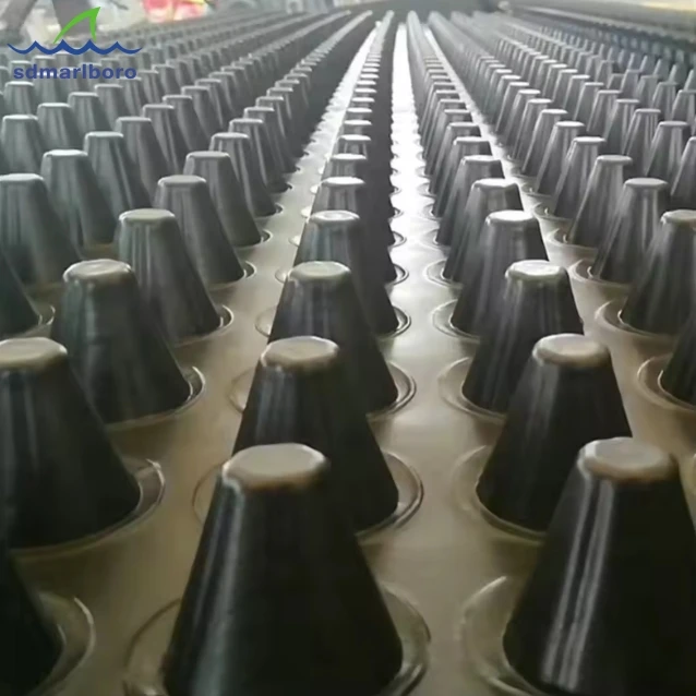 Roof Greening Dimple Drain Board From Manufacturer HDPE Dimple Drainage Board With Competitive Price