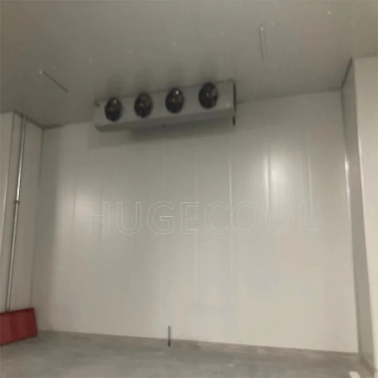 Hugecool Cold Room Walk in Freezer Food Cold Storage Rooms for Meat Vegetable Fish and Fruit