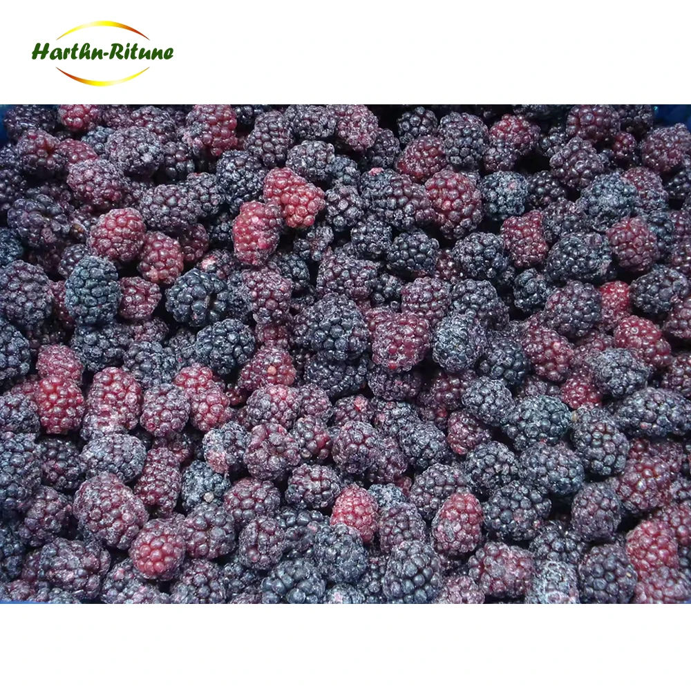 Təzə İQF Dondurulmuş Qaraqatlar Toptan Satış Qiyməti Həcmli Qida Qaraqat Meyvələri Dondurulmuş Qaraqat İQF