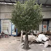 2#(Artificial olive tree deposit)