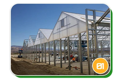 polycarbonate greenhouse