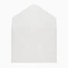 White envelope