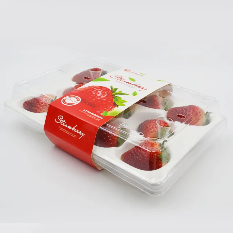 Manufacture Supply Rectangle Blister 12 Strawberry Plastic Fruit Box