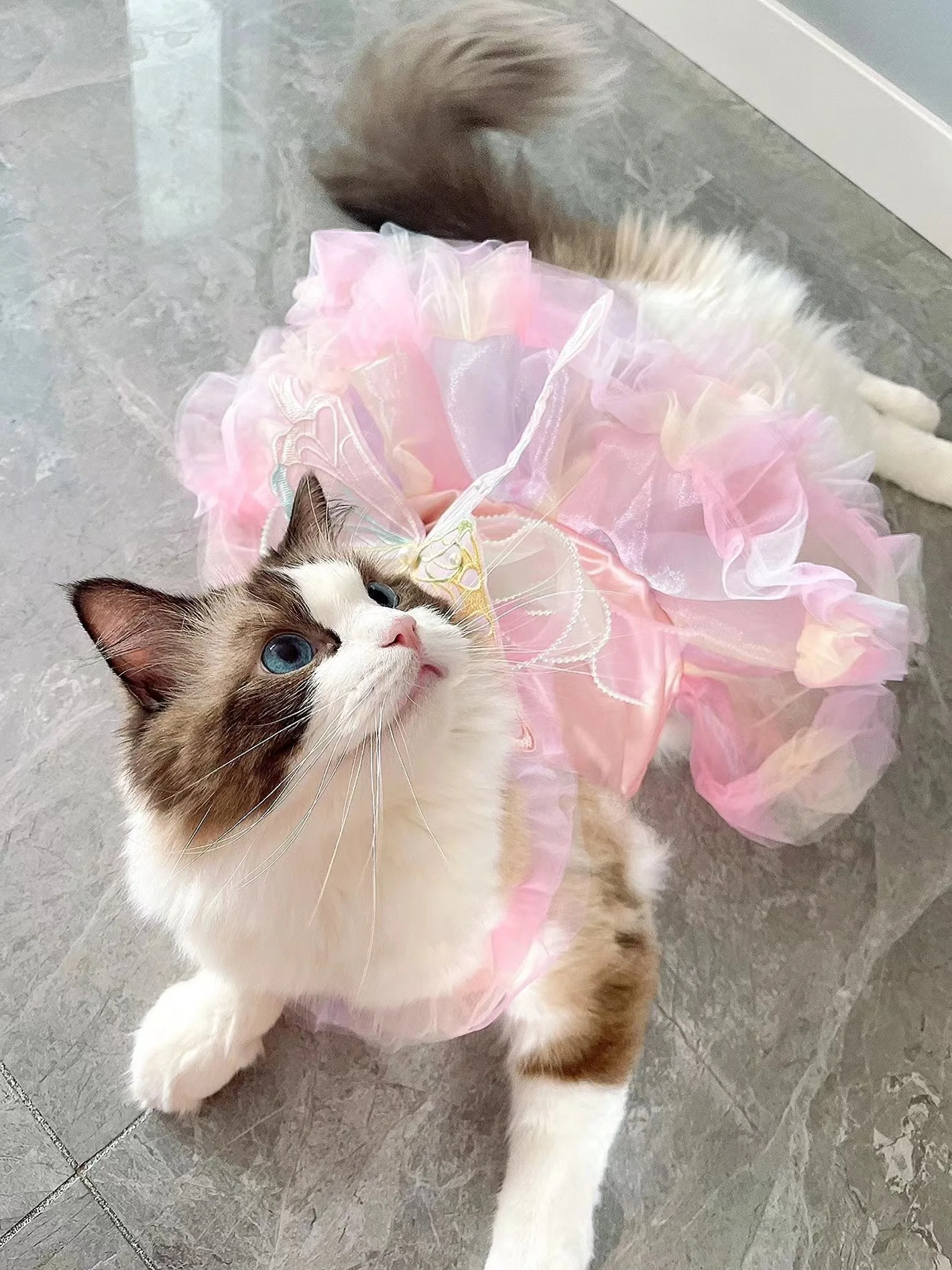 open lace back dress Little Princess Cat Dress & Bow Set main image 1