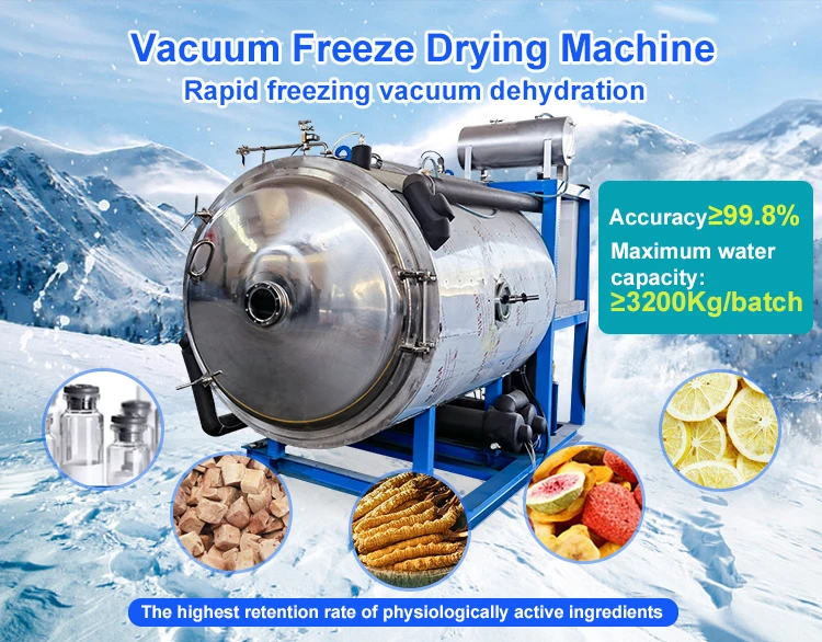 Industrial Freezedrying Machine Lyophilization Freeze Drying Buy