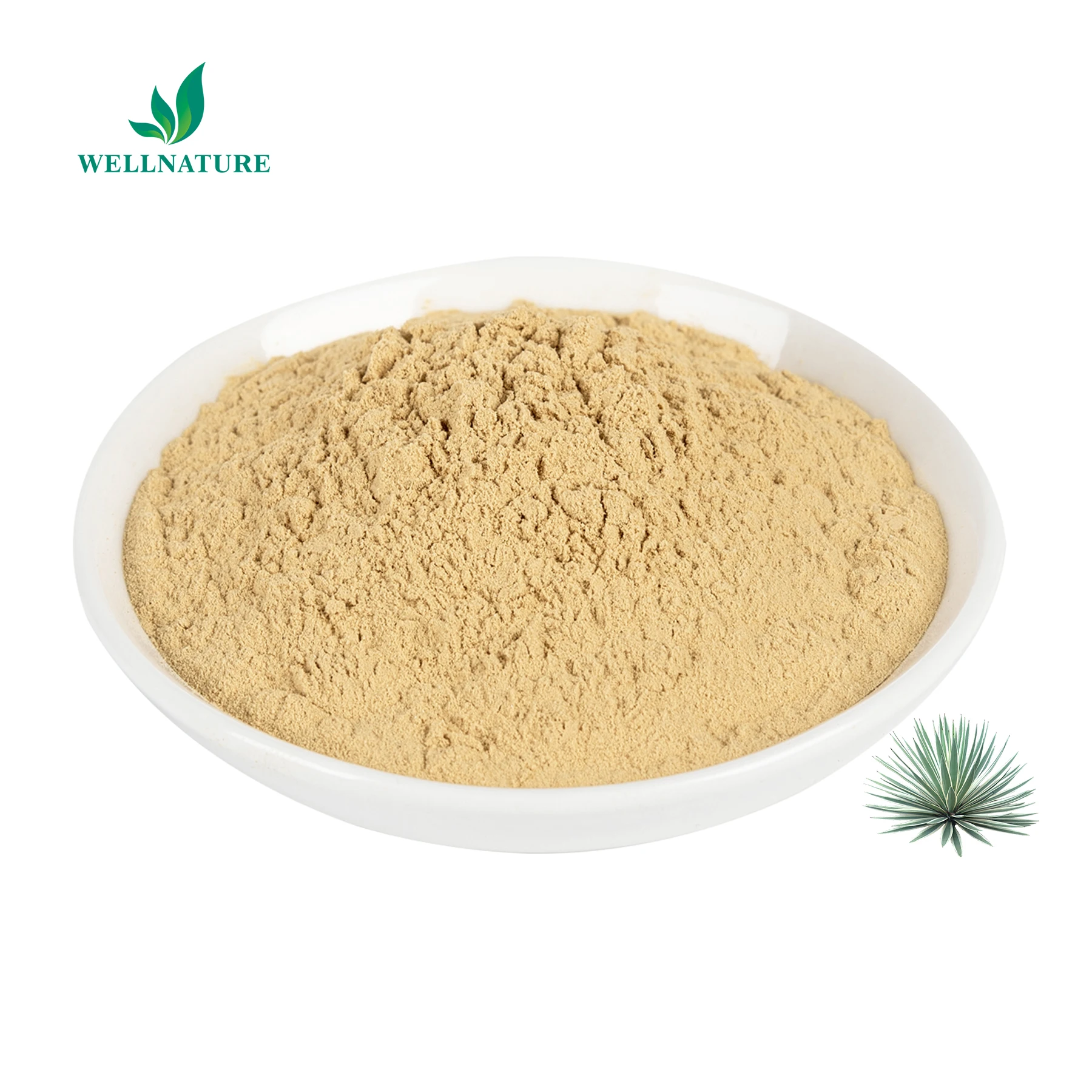 Free Sample Natural Herbal Extract Schidigera Yucca Extract Saponins 30% 60% Yucca Extract Powder