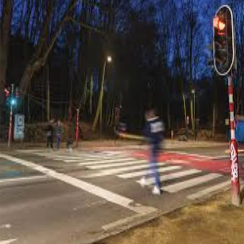 ソーラー無線横断歩道信号灯システム｜LED信号｜在庫あり