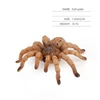 Araña lobo