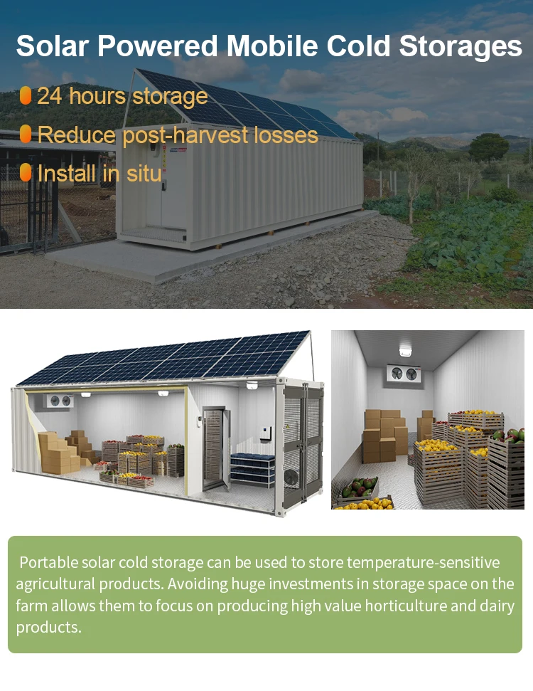 Solar Photovoltaic System 50KW 100KW 300KW 500KW 1MW 2MW Solar Powered Cold Room For Fish And Meat factory