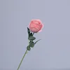 ชมพูเชอร์รี่