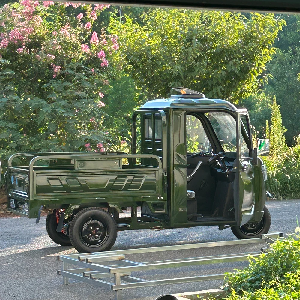 Cargo Truck Triciclo MontaÃ±a Cargo Tricycle Tricycle Electric For Adults  COLORWAY Electric