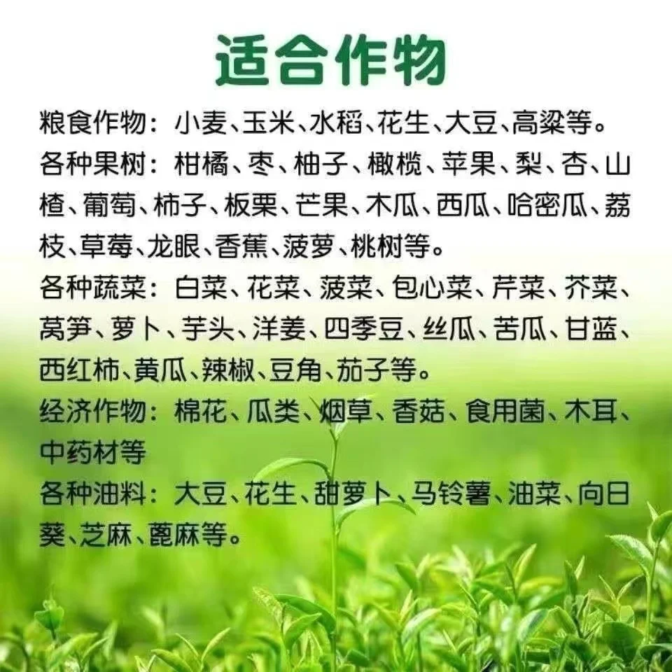Shop KH2PO4  sulphur phosphate      ammonium  phosphate   MKP   7778-77-0-Detailed Image 3