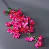 Rojo púrpura