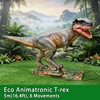 Eco Trex - 5m (16,4 pi) - 6 Mouvements
