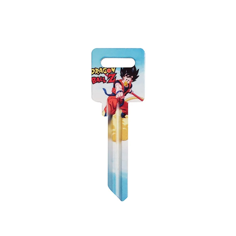 Y1 a Variety of Patterns Can Be Customized Universal Aluminium Color Keys Blank