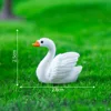 2#Cigno