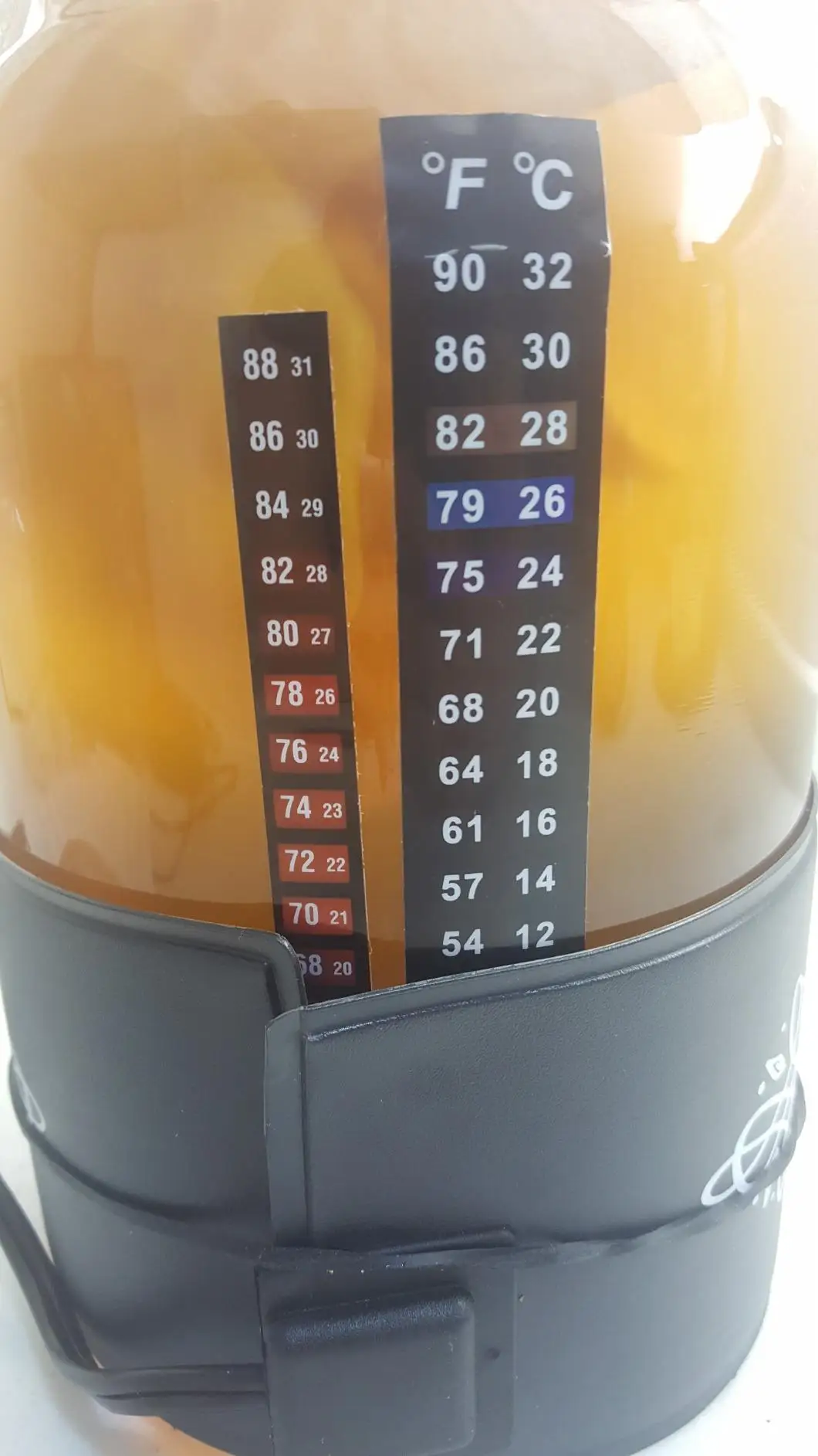 Color Changing Terrarium Temperature Sensitive Indicator Sticker Strip